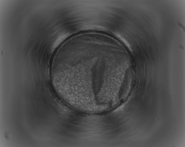 X0000093120877200710171243