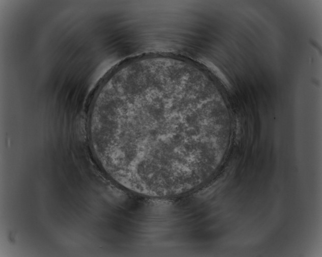 X0000093120878200710171243