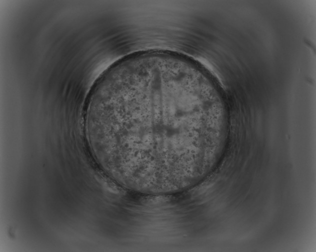 X0000093120879200710171243