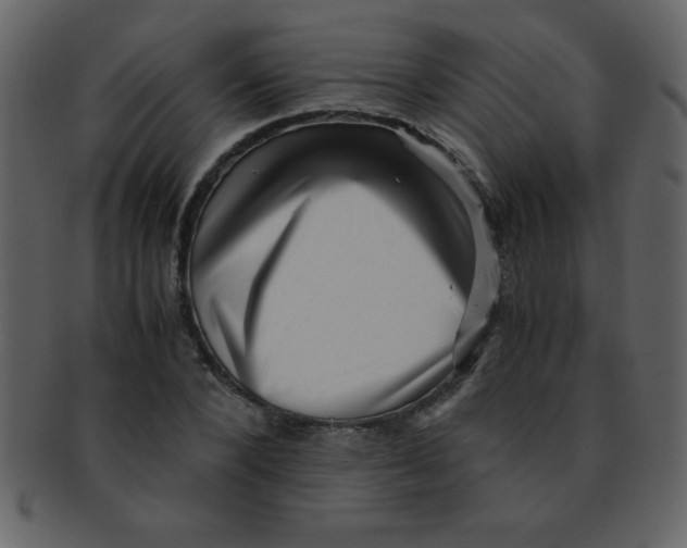 X0000093120880200710171243