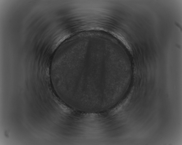 X0000093120881200710171243