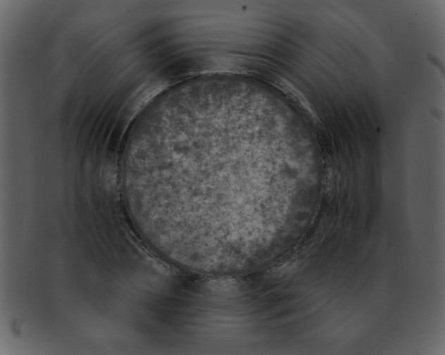 X0000093120882200710171243