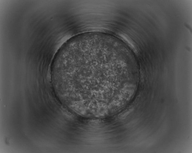 X0000093120883200710171243