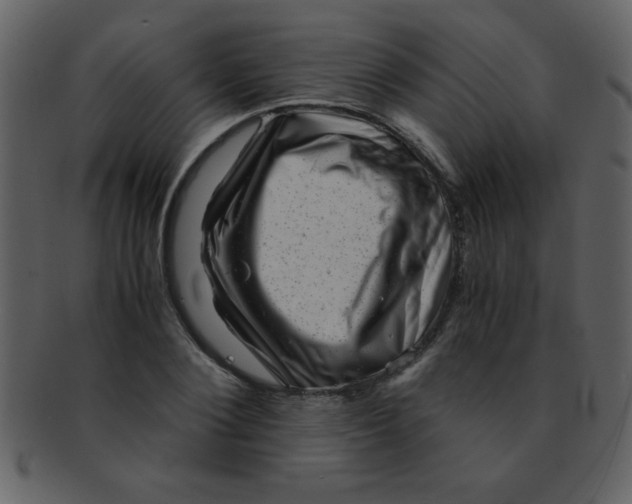 X0000093120884200710171243