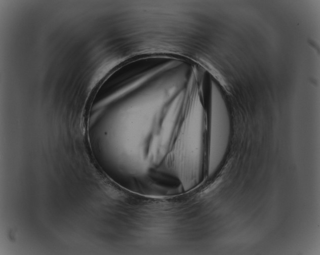 X0000093120885200710171243