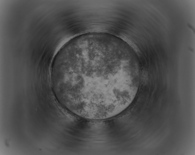 X0000093120886200710171243