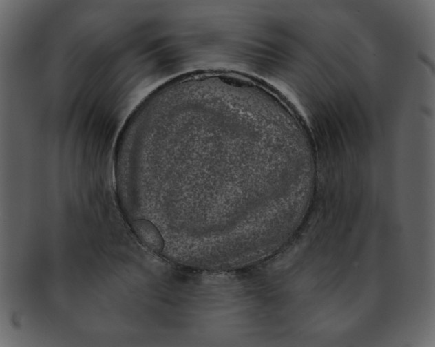 X0000093120887200710171243