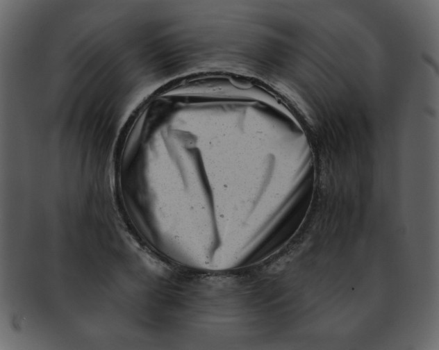 X0000093120888200710171243