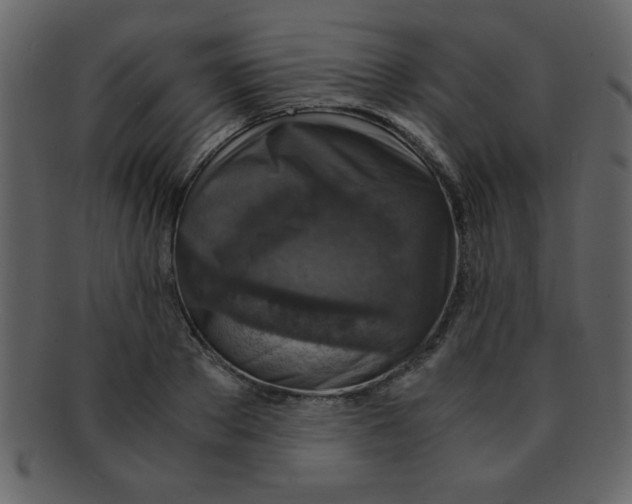 X0000093120889200710171243