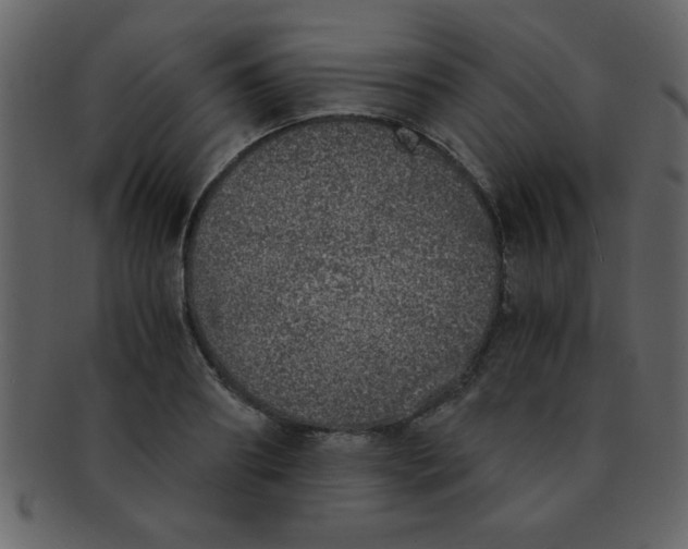 X0000093120890200710171243