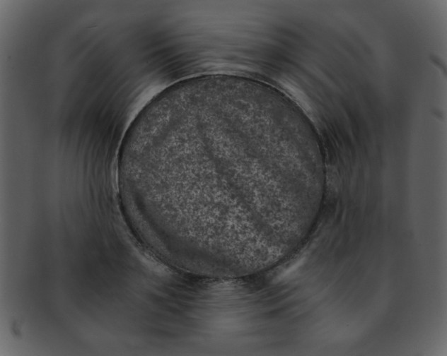 X0000093120891200710171243