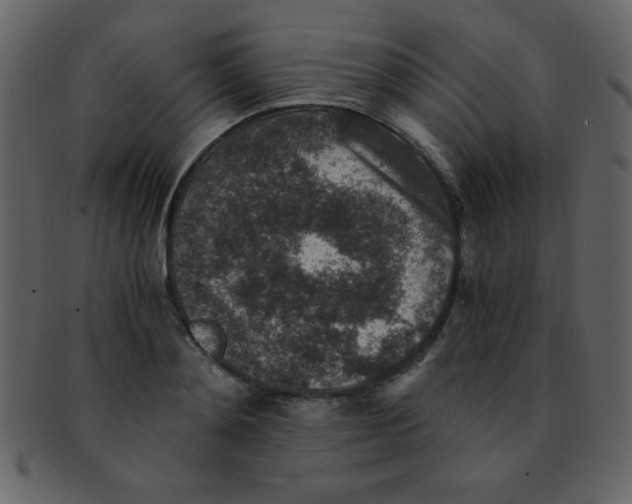 X0000093120892200710171243