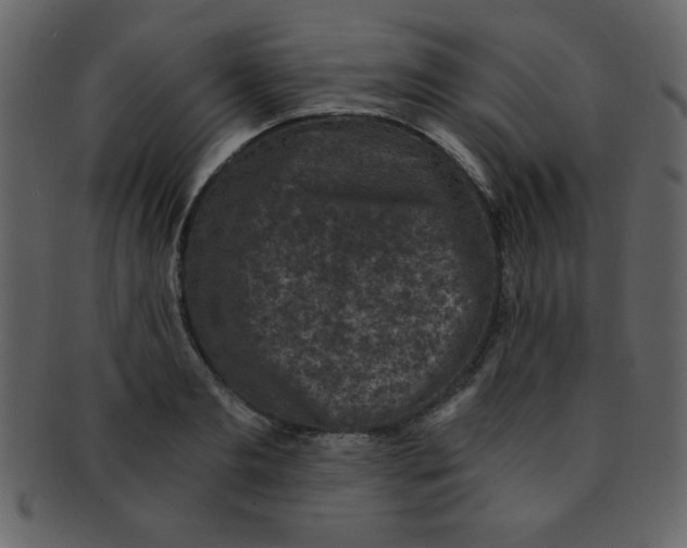 X0000093120893200710171243