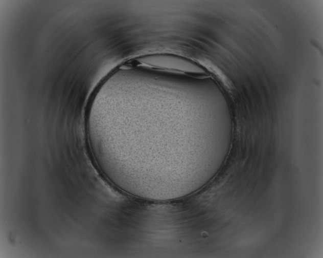 X0000093120894200710171243