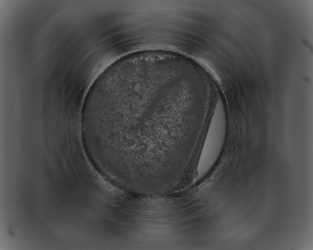 X0000093120895200710171243