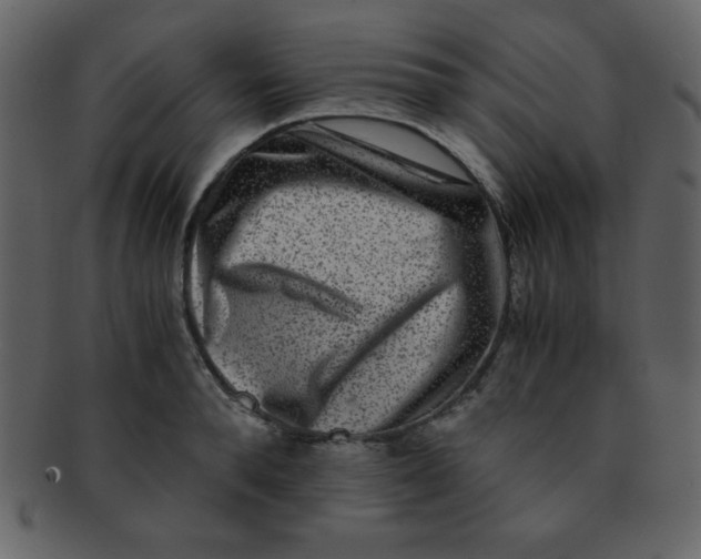 X0000093120896200710171243