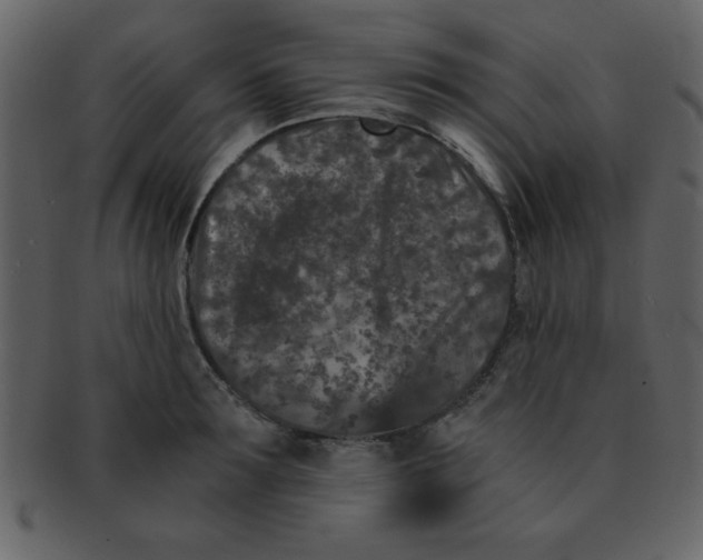 X0000093120899200710171243