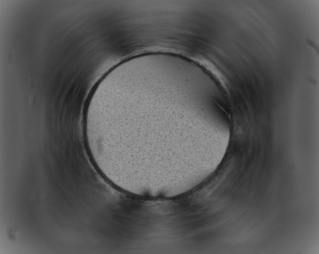 X0000093120902200710171243