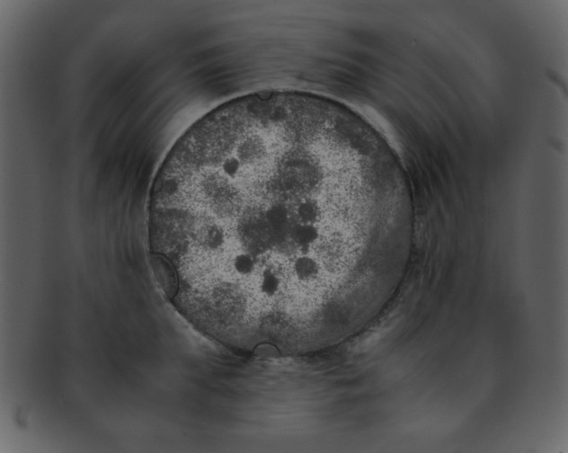 X0000093120903200710171243