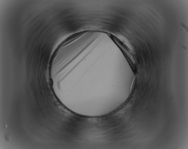 X0000093120904200710171243