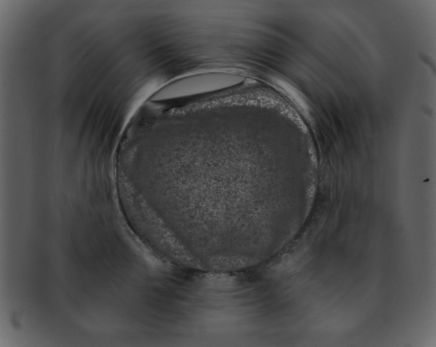 X0000093120907200710171243