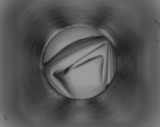 X0000093120908200710171243