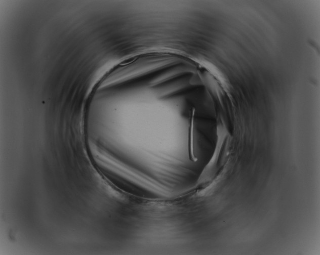 X0000093120910200710171243