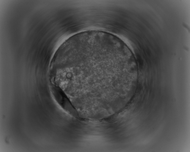 X0000093120911200710171243