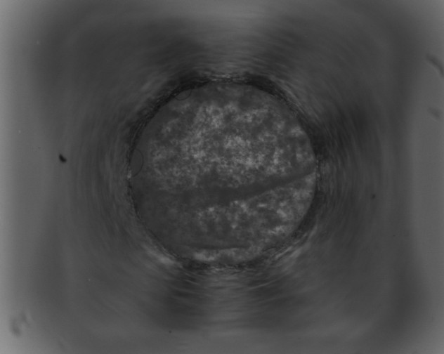 X0000093120913200710171242