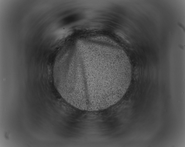 X0000093120917200710171242