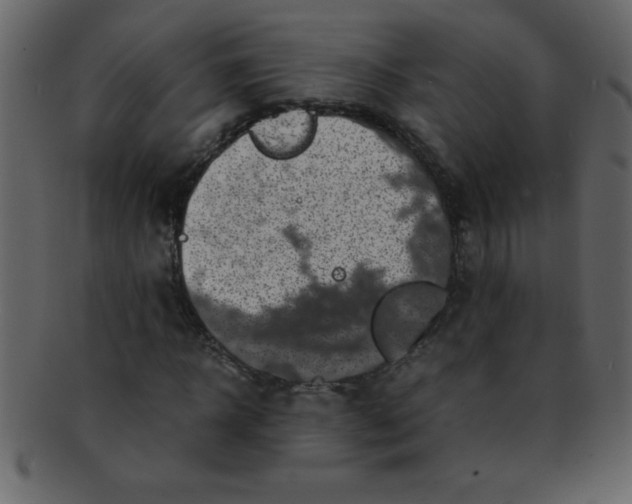 X0000093120918200710171242