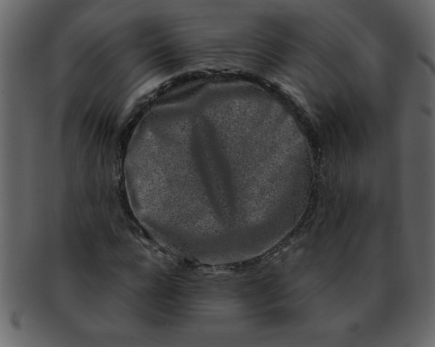 X0000093120920200710171242