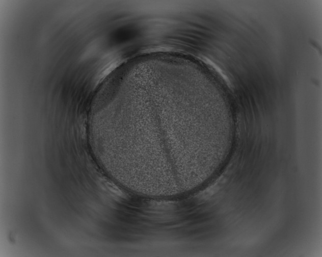 X0000093120921200710171242