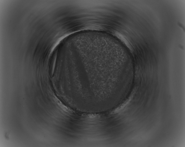 X0000093120923200710171242