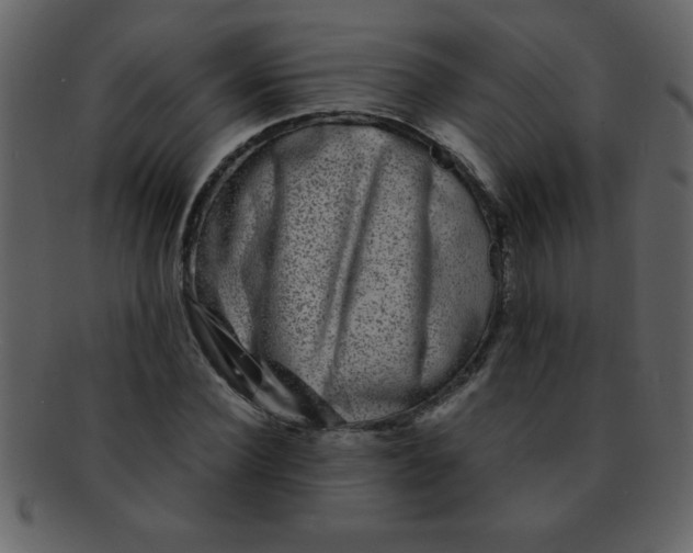 X0000093120924200710171242