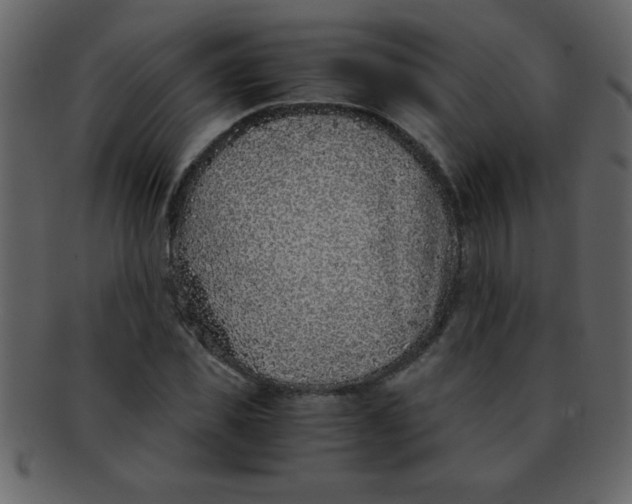 X0000093120925200710171242