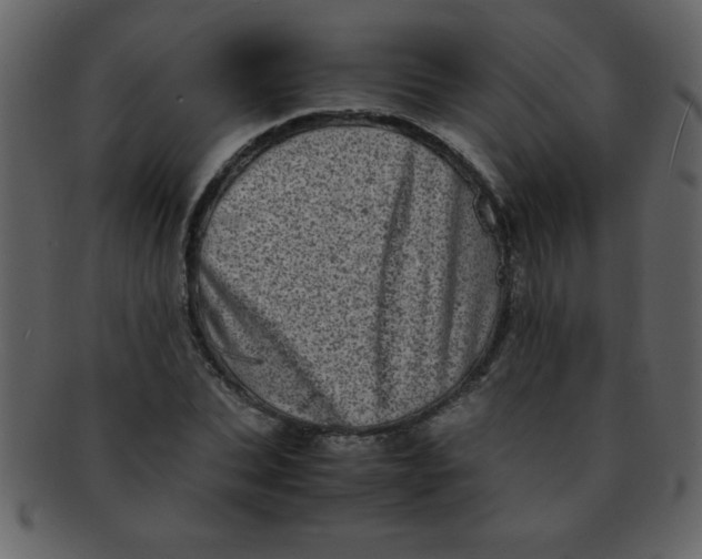 X0000093120927200710171242