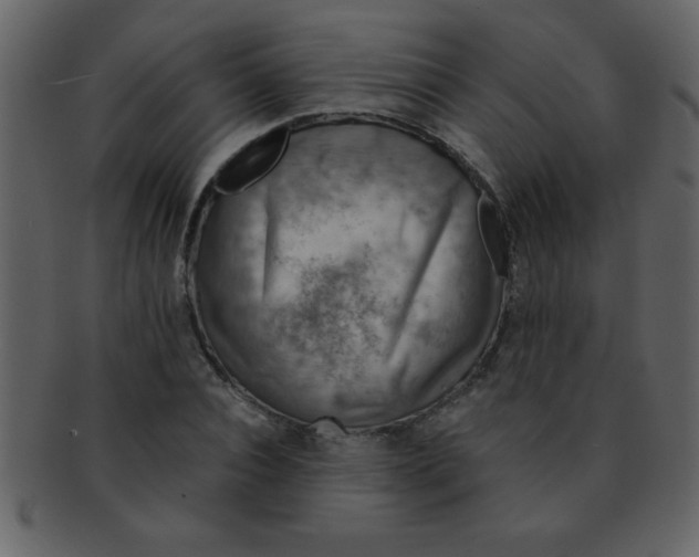 X0000093120928200710171242