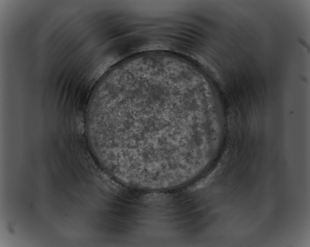 X0000093120929200710171242