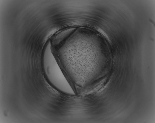 X0000093120930200710171242