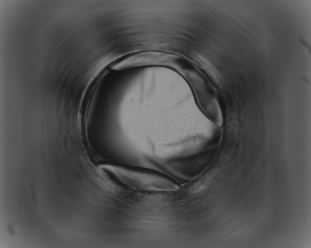 X0000093120932200710171242