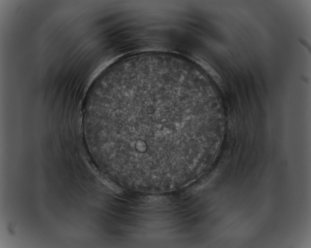 X0000093120933200710171242