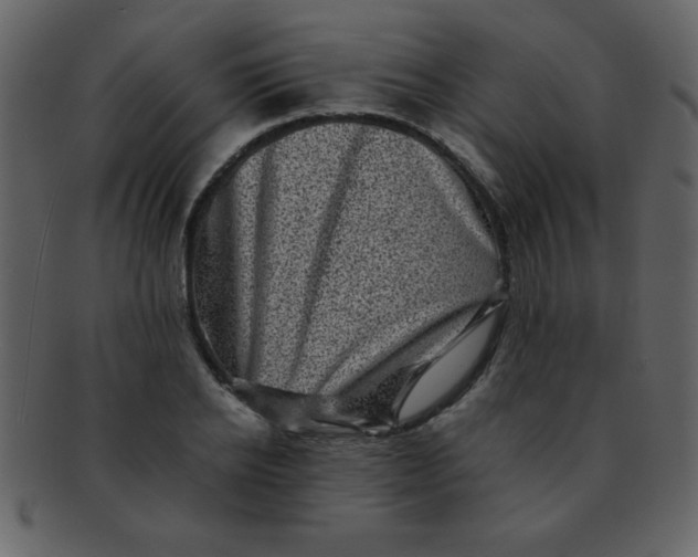 X0000093120934200710171242