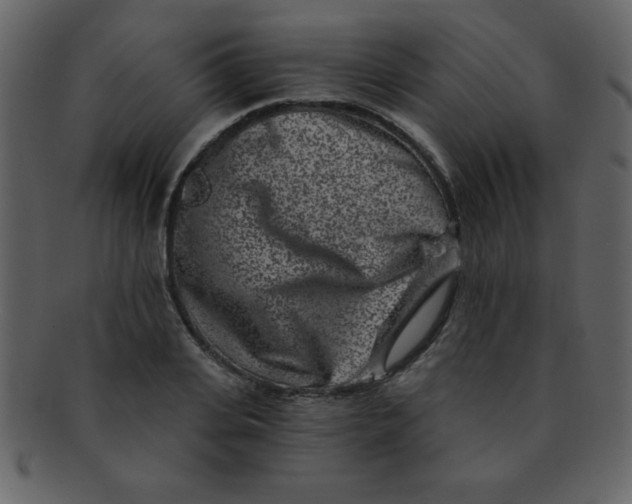 X0000093120935200710171242