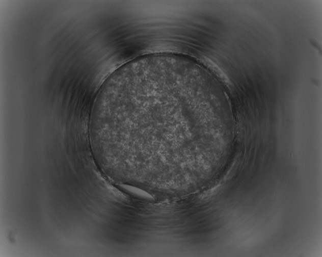 X0000093120937200710171243