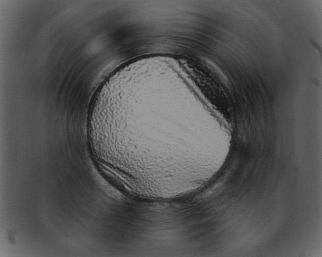 X0000093120938200710171243