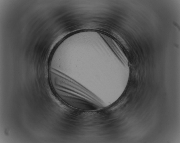 X0000093120939200710171243