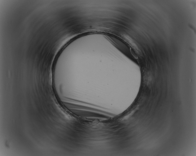 X0000093120940200710171243