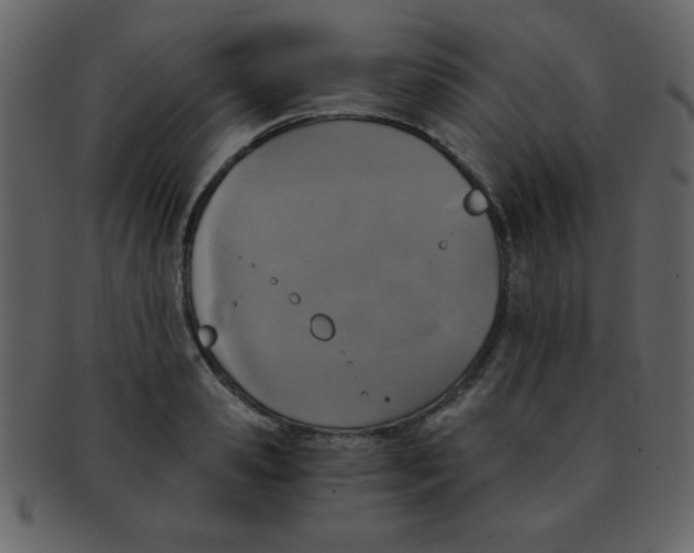 X0000093120941200710171243