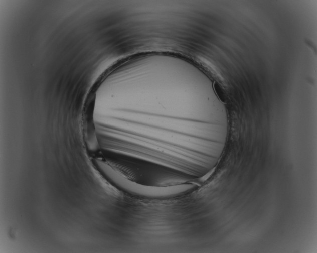 X0000093120942200710171243